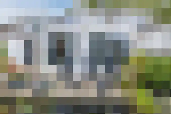 Breebroek 20 Rijen thumbnail 46