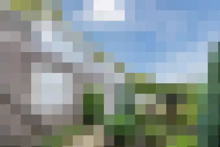 Breebroek 20 Rijen thumbnail 51