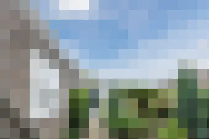 Breebroek 20 Rijen thumbnail 52