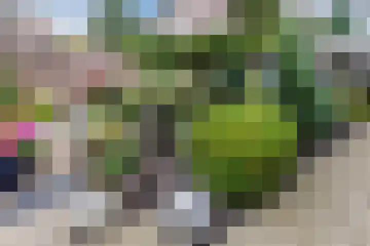 Breebroek 20 Rijen thumbnail 53