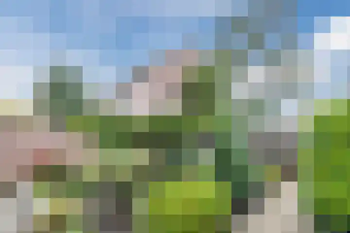 Breebroek 20 Rijen thumbnail 54