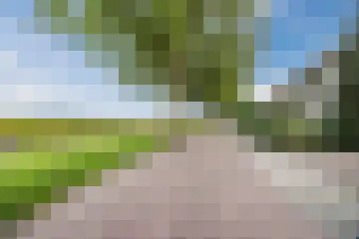Breebroek 20 Rijen thumbnail 56