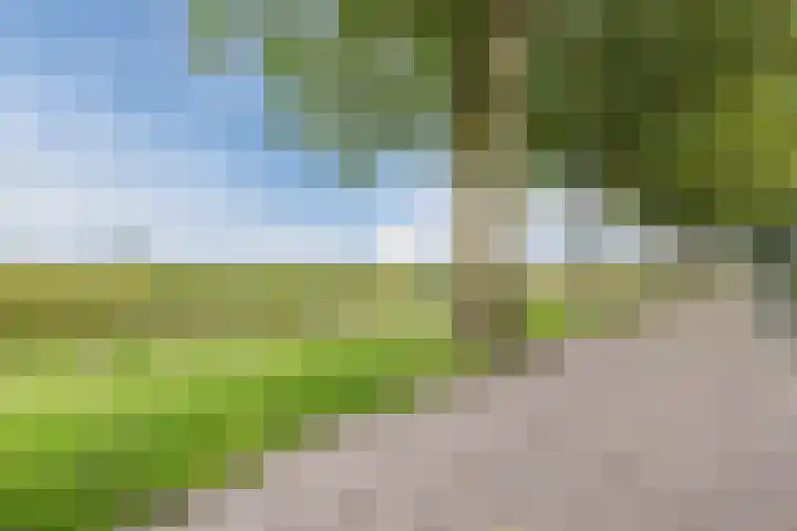 Breebroek 20 Rijen thumbnail 57
