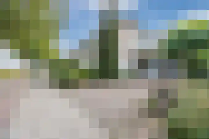 Breebroek 20 Rijen thumbnail 61