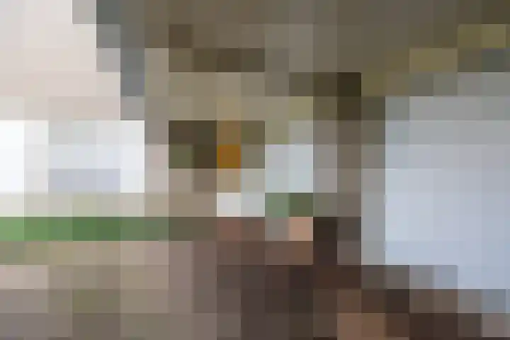 Breebroek 20 Rijen thumbnail 63