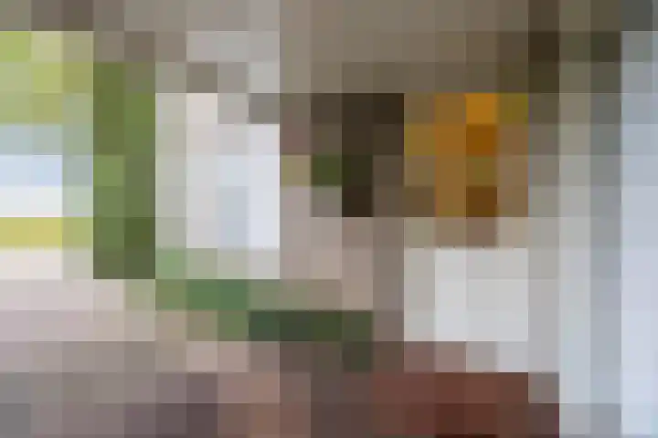Breebroek 20 Rijen thumbnail 65