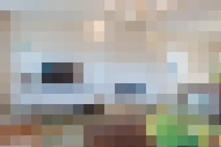Breebroek 32 Rijen thumbnail 11