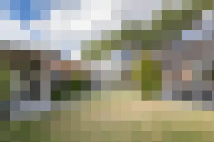 Breebroek 32 Rijen thumbnail 29
