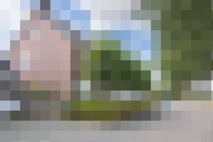 Breebroek 32 Rijen thumbnail 52
