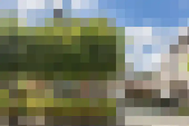 Breebroek 32 Rijen thumbnail 6