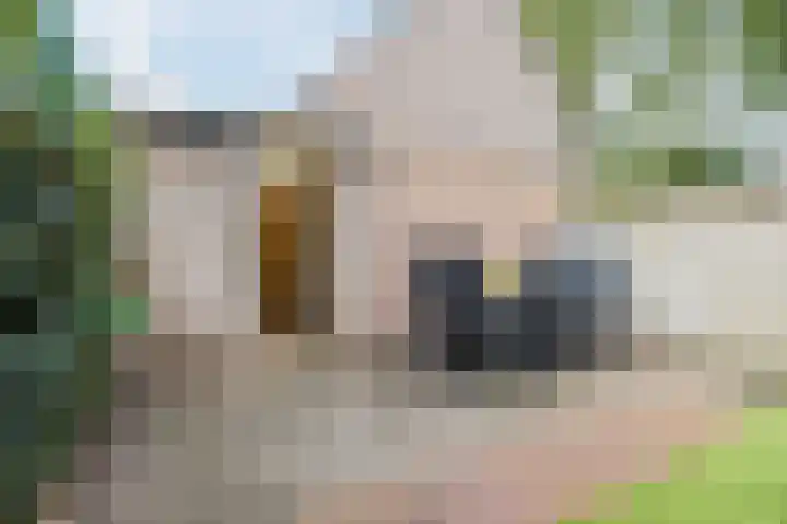 Breebroek 38 Rijen thumbnail 32