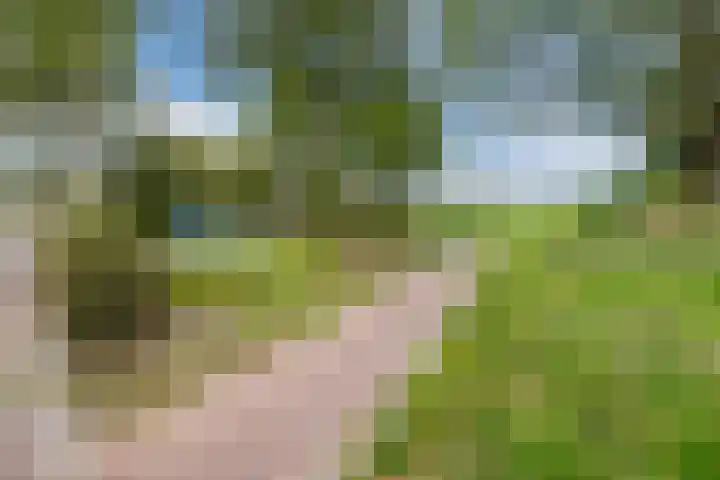 Breebroek 38 Rijen thumbnail 39