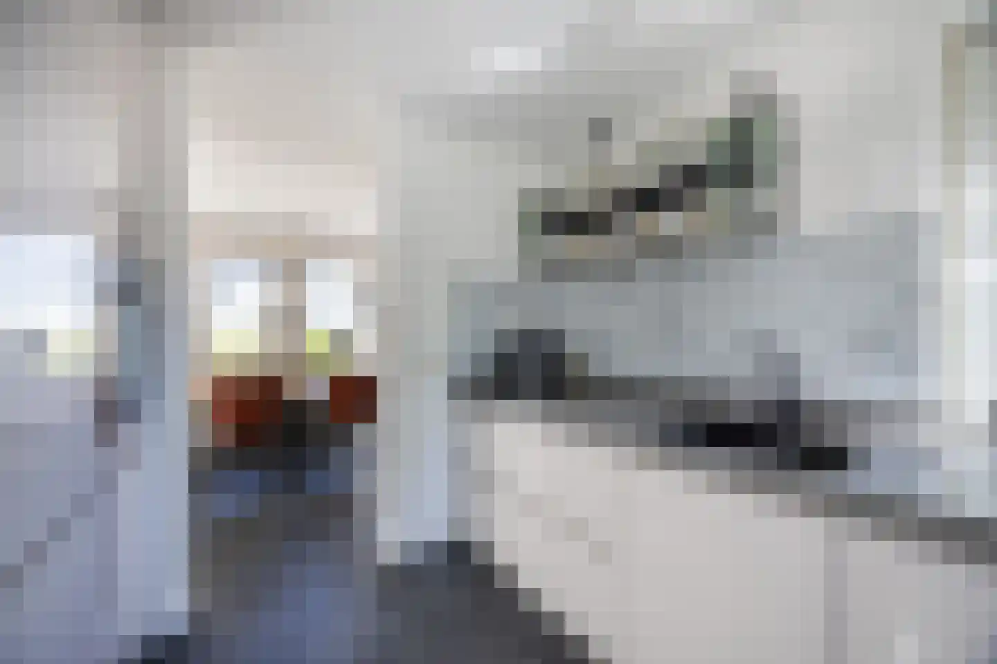 Breebroek 7 Rijen thumbnail 24