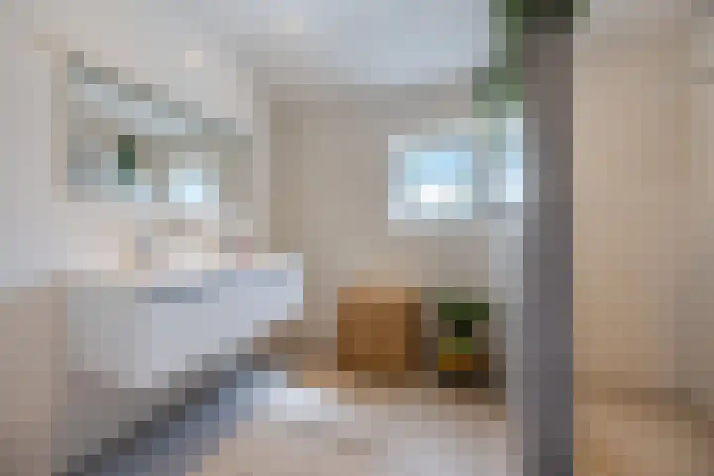 Breebroek 7 Rijen thumbnail 54