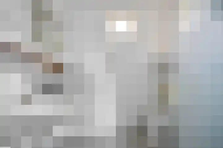 Breeburgsingel 27 Hoofddorp thumbnail 13
