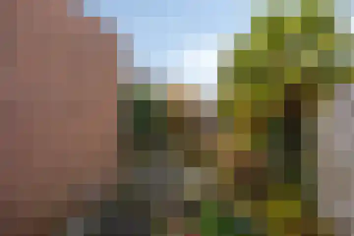 Breeburgsingel 27 Hoofddorp thumbnail 18
