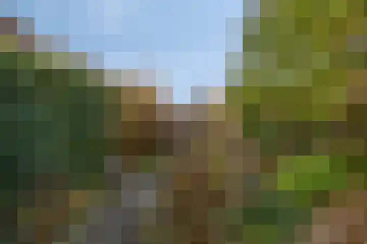 Breeburgsingel 27 Hoofddorp thumbnail 19