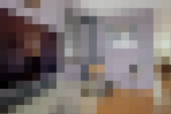 Breed 8 Midwoud thumbnail 11