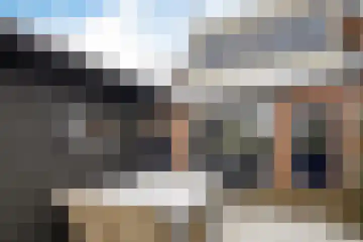 Breed 8 Midwoud thumbnail 25