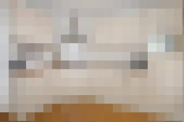 Breed 8 Midwoud thumbnail 4