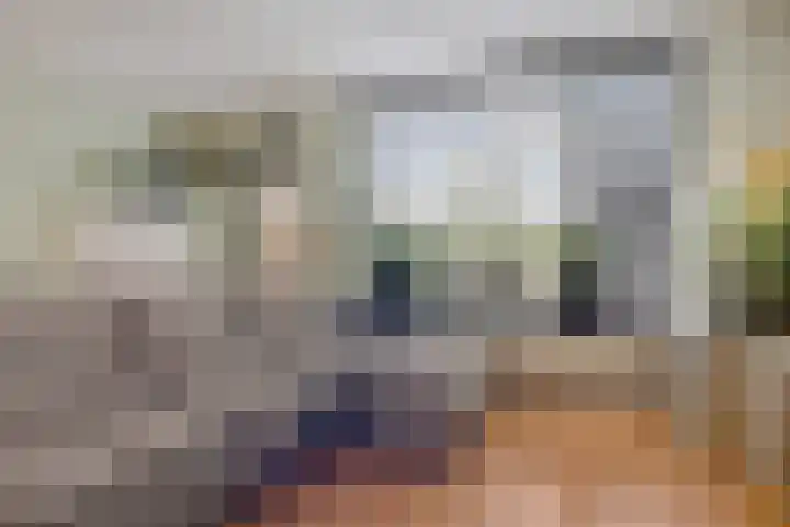 Breed 8 Midwoud thumbnail 9
