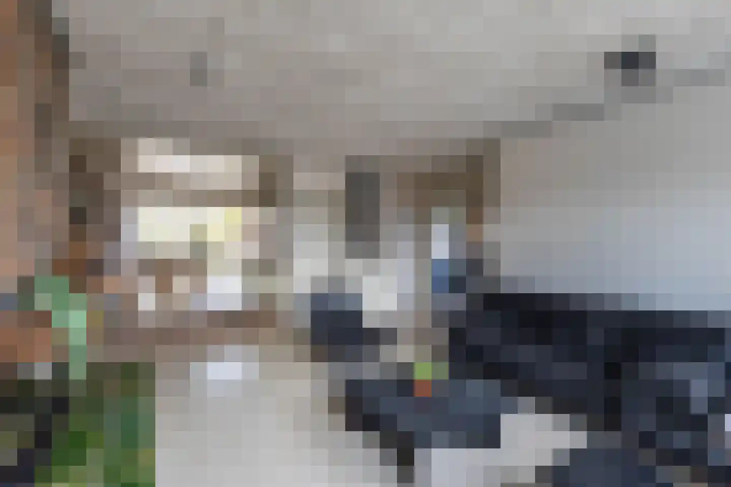 Breed Plak 15 Pietersbierum thumbnail 11