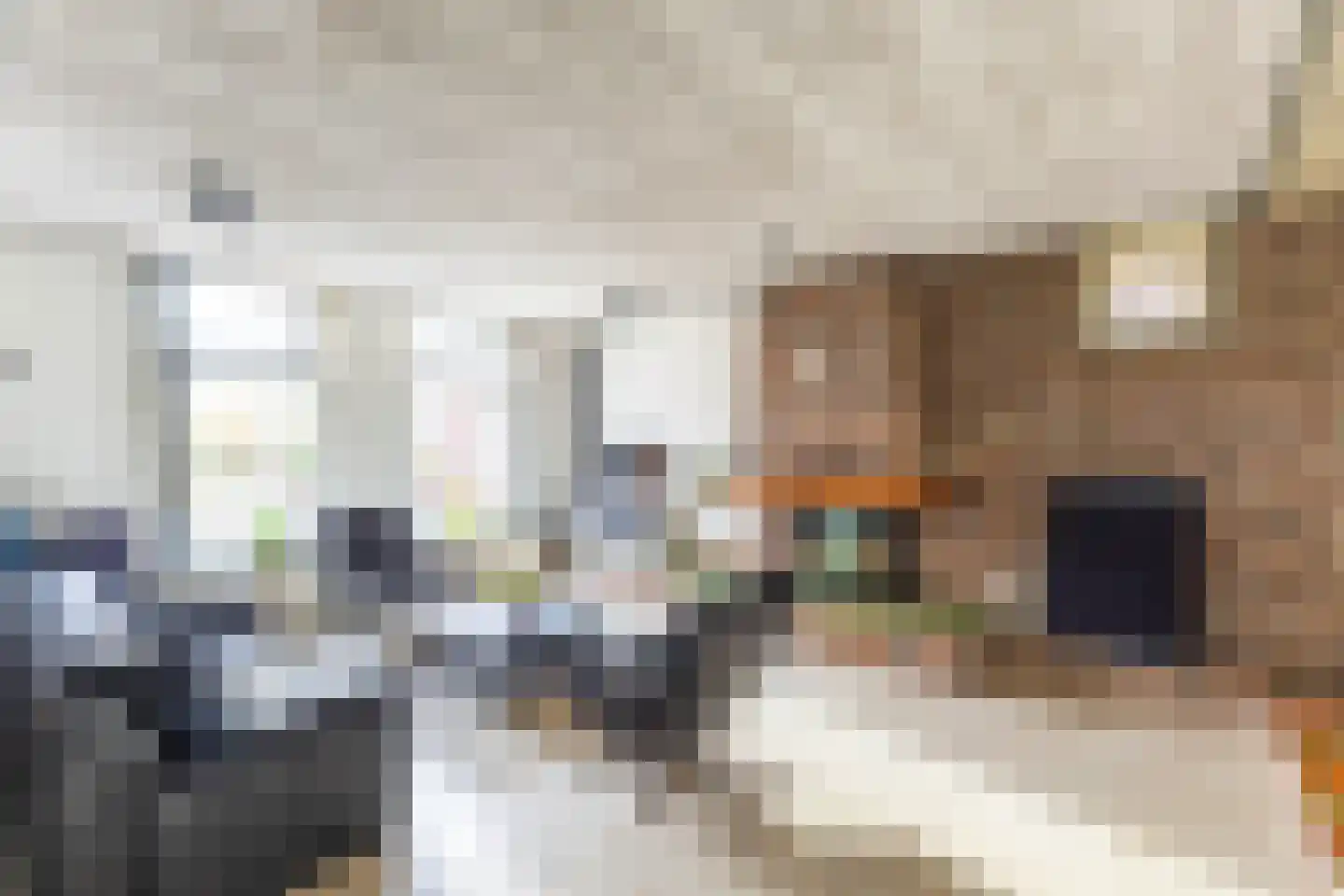 Breed Plak 15 Pietersbierum thumbnail 12