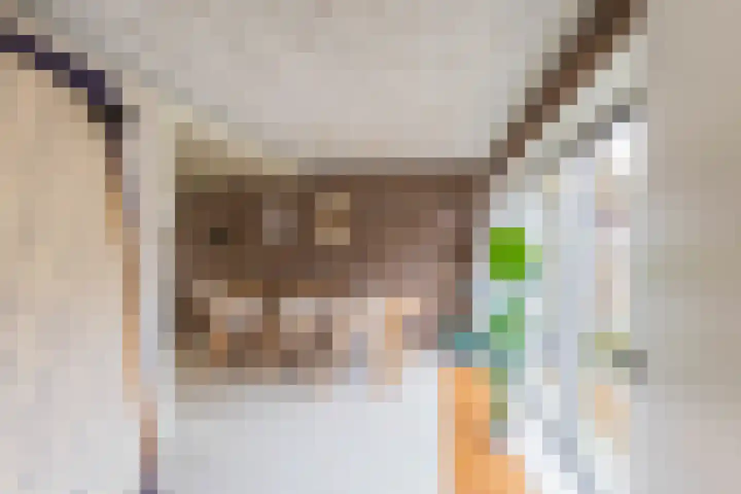 Breed Plak 15 Pietersbierum thumbnail 14