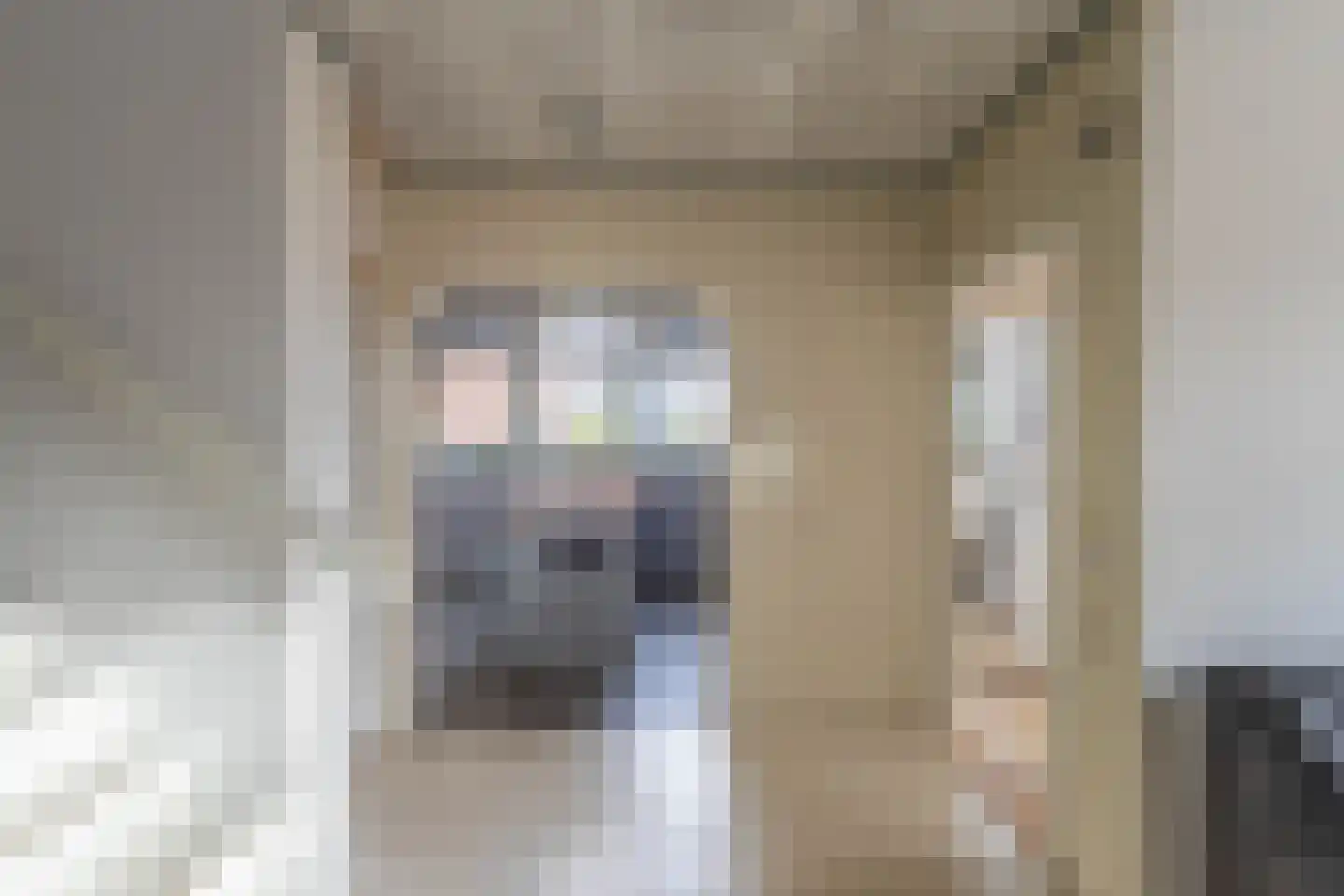 Breed Plak 15 Pietersbierum thumbnail 24