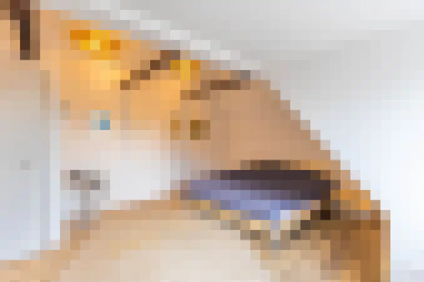 Breed Plak 15 Pietersbierum thumbnail 33