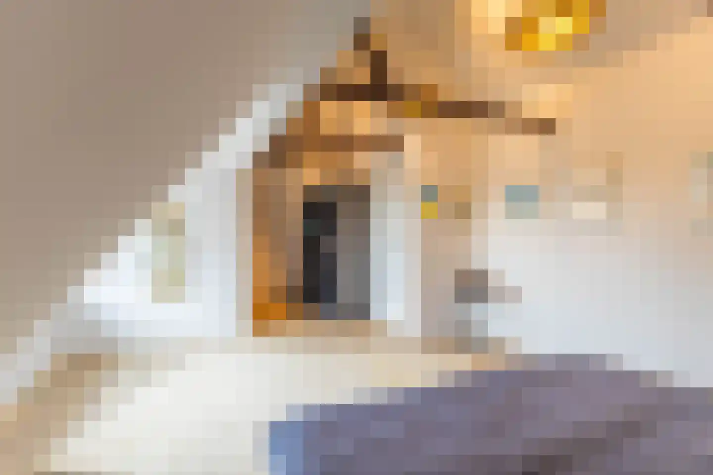 Breed Plak 15 Pietersbierum thumbnail 35