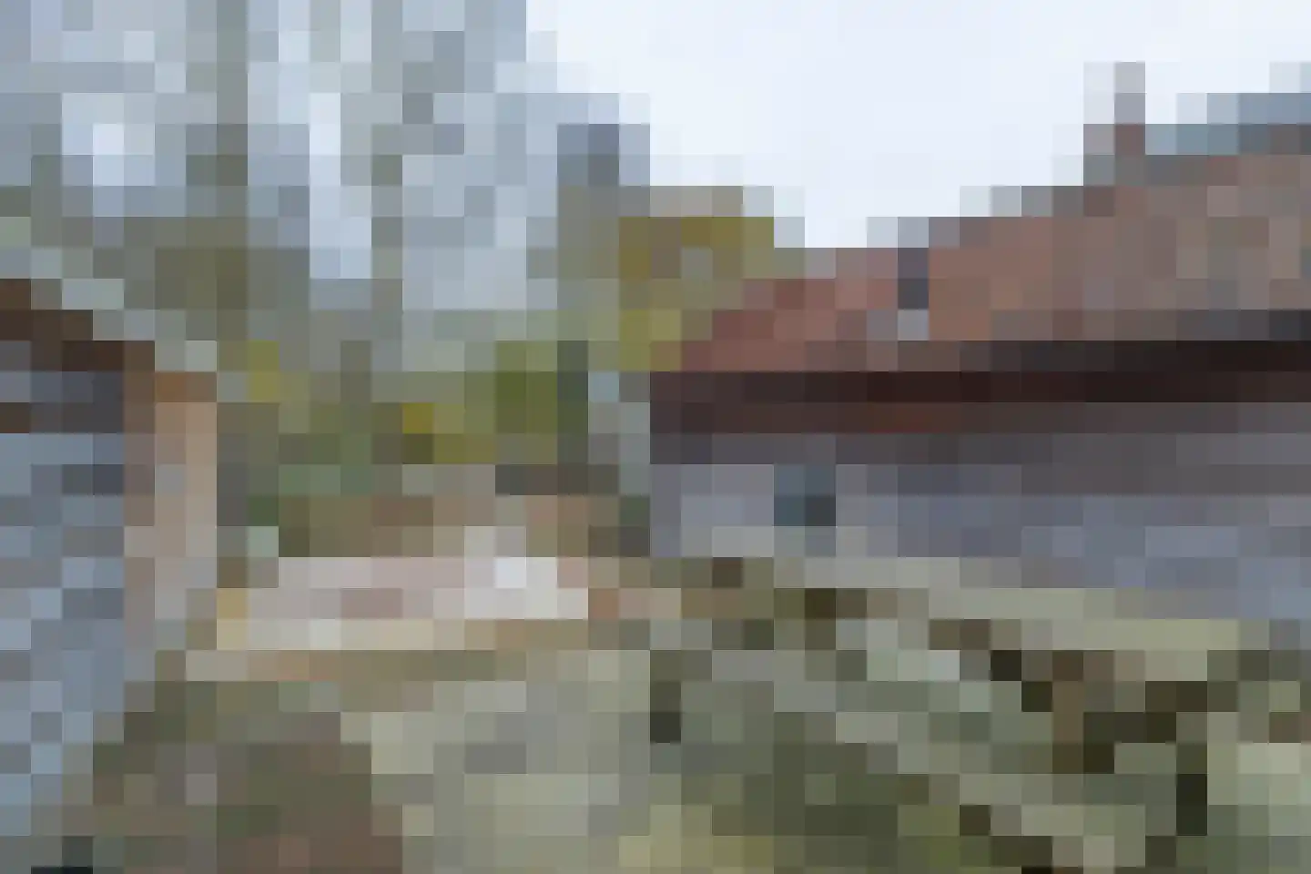 Breed Plak 15 Pietersbierum thumbnail 39