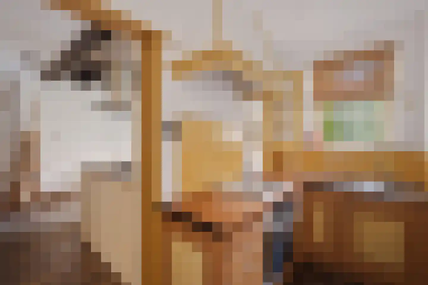 Breed Plak 8 Pietersbierum thumbnail 17