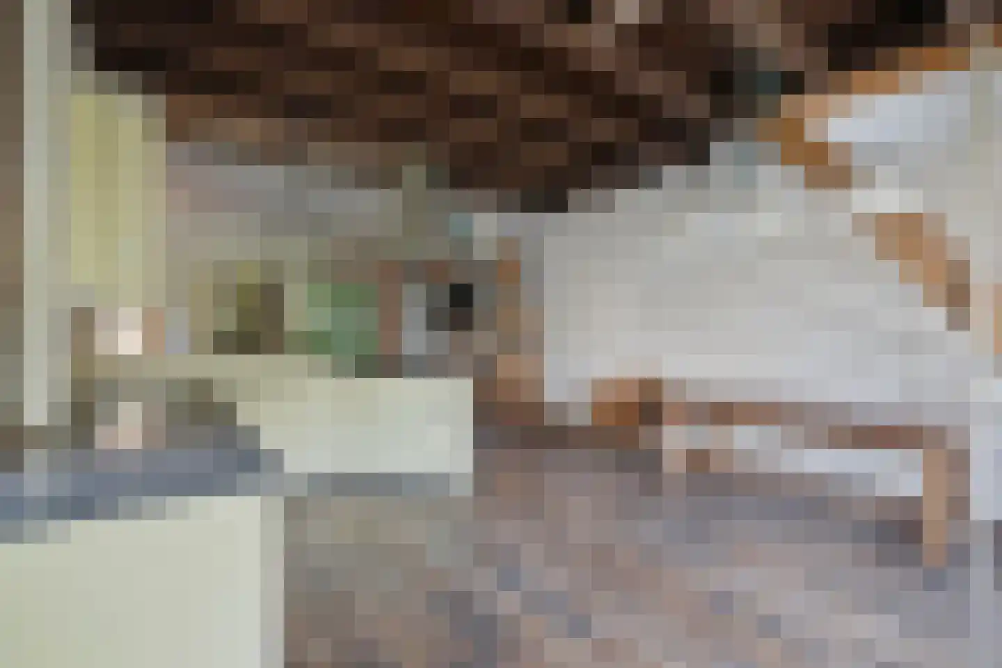 Breed Plak 8 Pietersbierum thumbnail 22