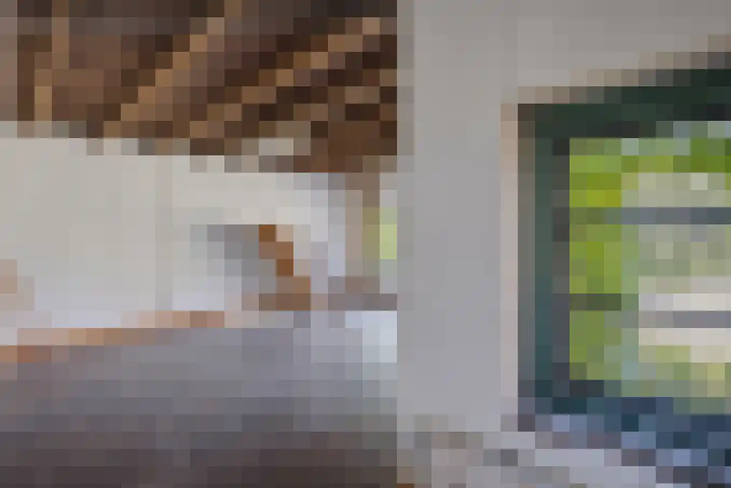 Breed Plak 8 Pietersbierum thumbnail 23
