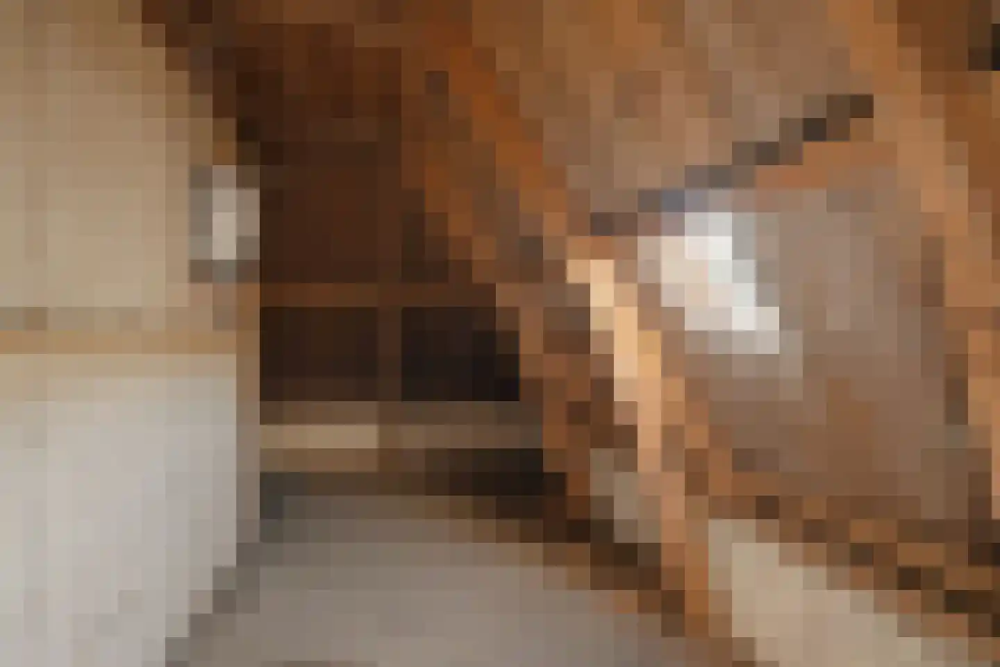 Breed Plak 8 Pietersbierum thumbnail 32