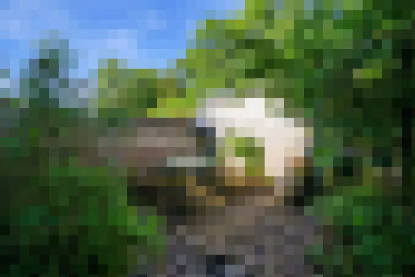 Breed Plak 8 Pietersbierum thumbnail 39