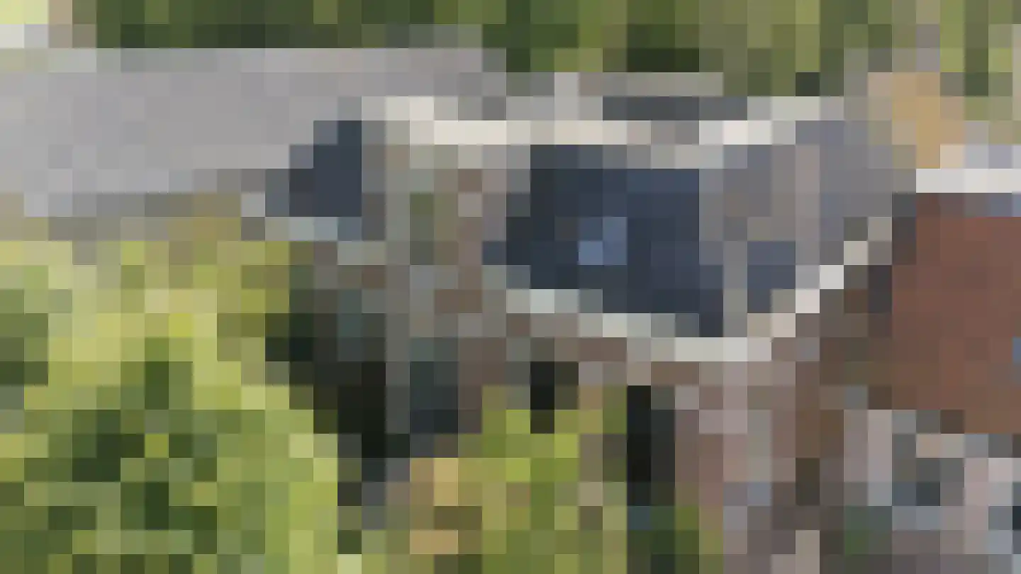 Breed Plak 8 Pietersbierum thumbnail 4
