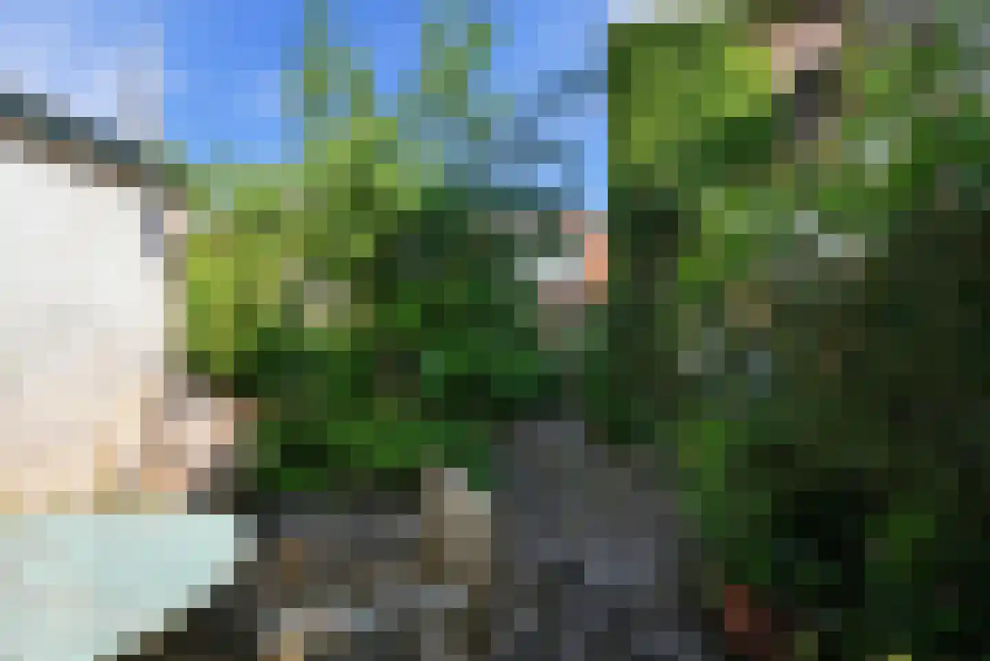 Breed Plak 8 Pietersbierum thumbnail 40