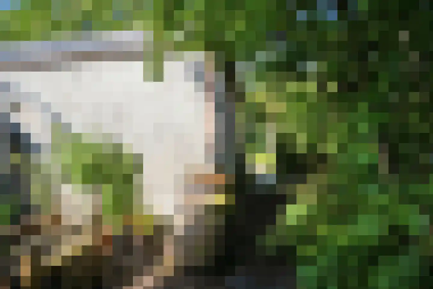 Breed Plak 8 Pietersbierum thumbnail 41