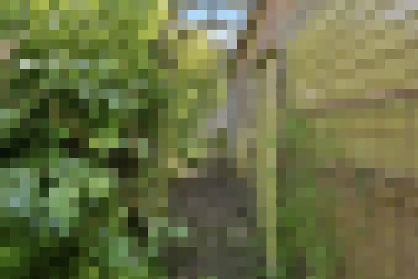 Breed Plak 8 Pietersbierum thumbnail 42