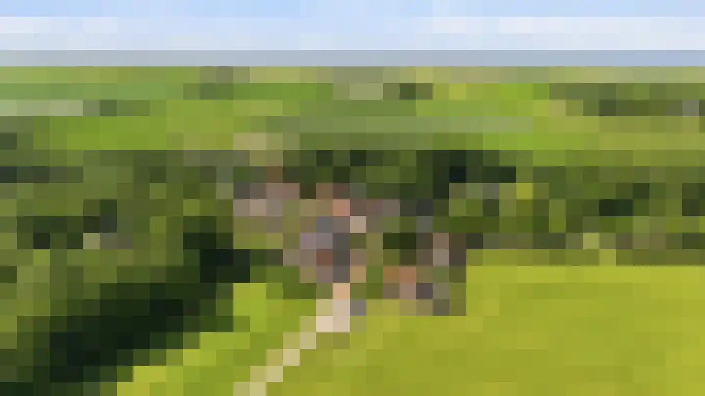Breed Plak 8 Pietersbierum thumbnail 43