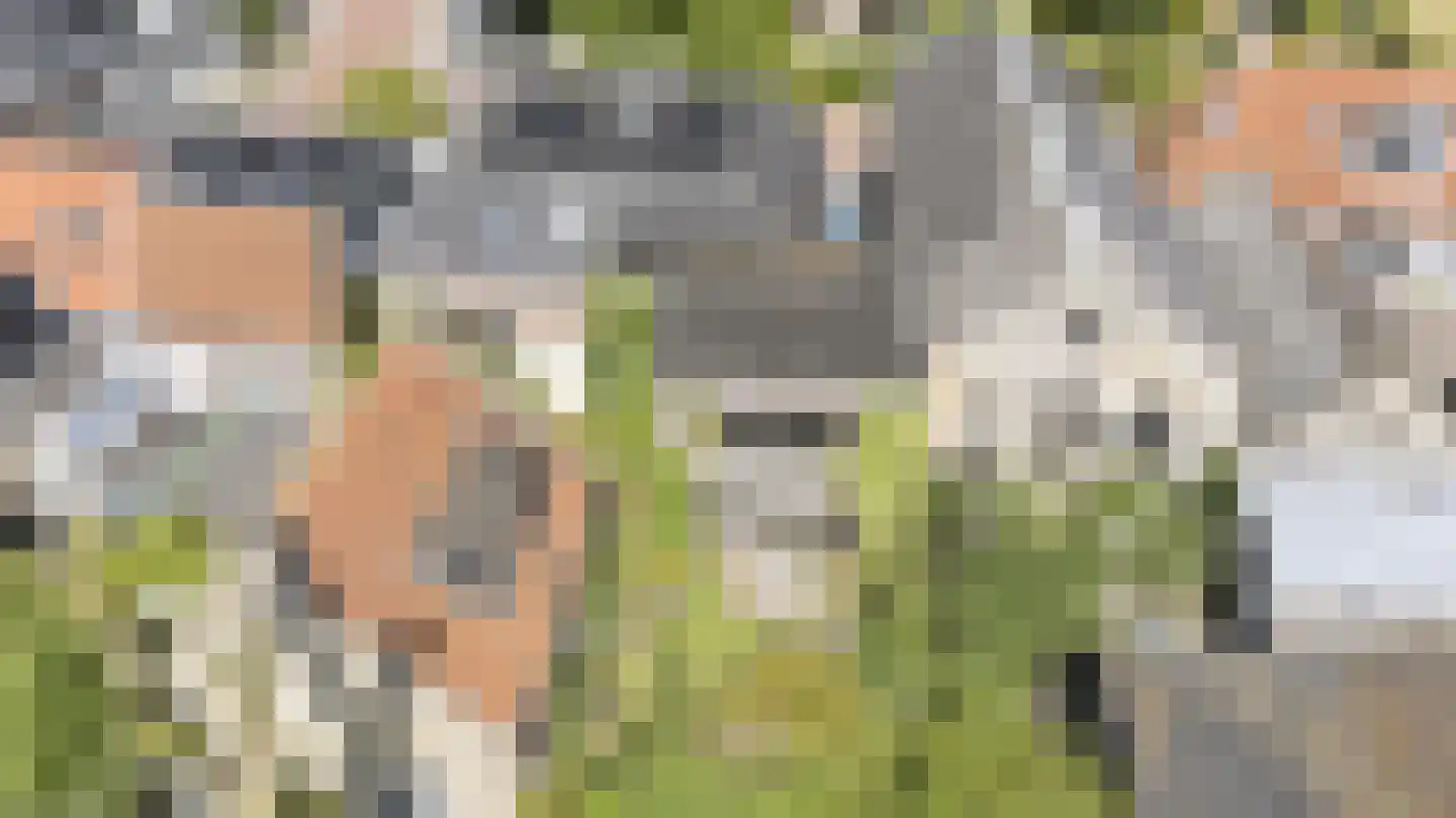 Breed Plak 8 Pietersbierum thumbnail 44