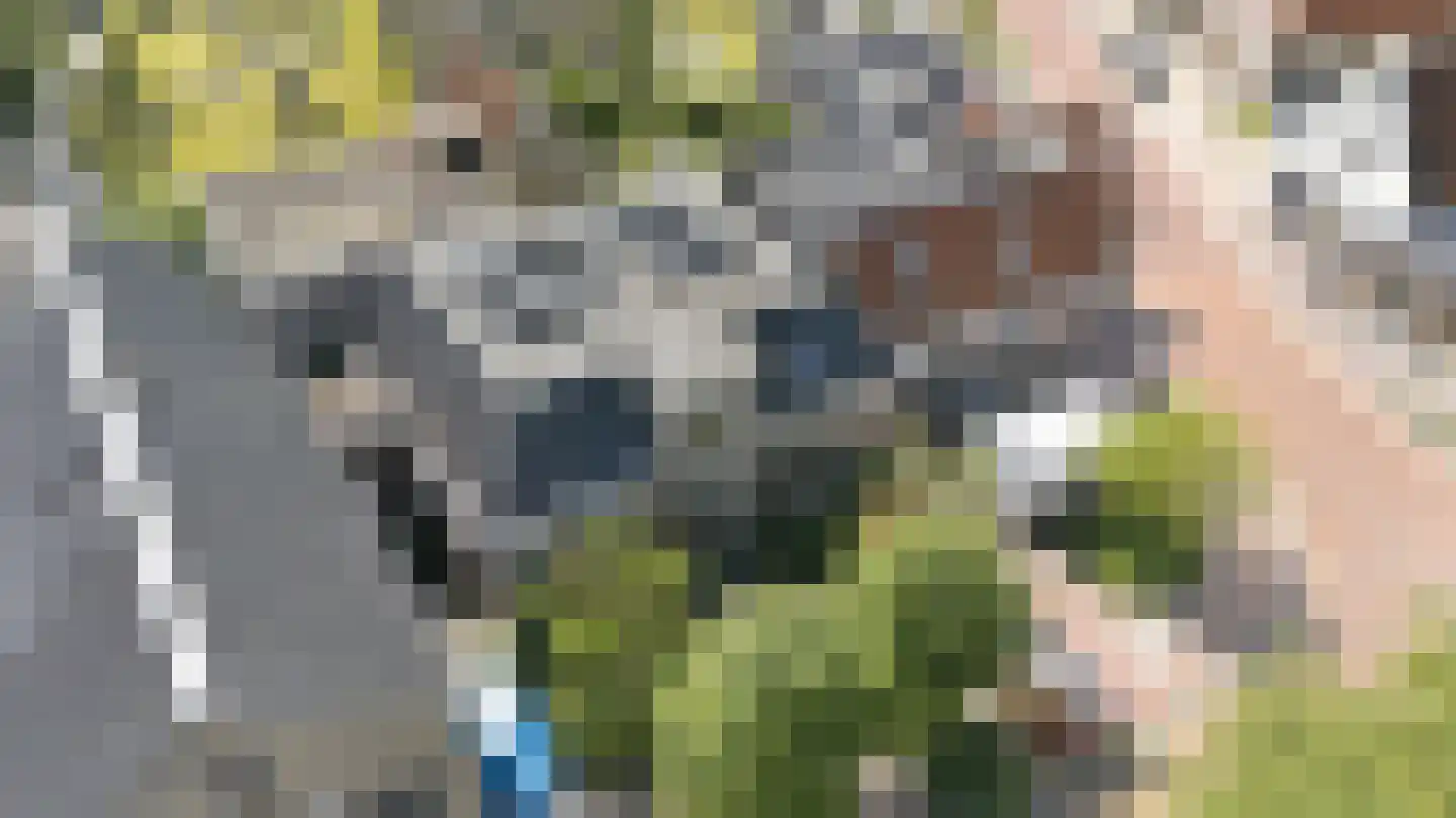 Breed Plak 8 Pietersbierum thumbnail 45
