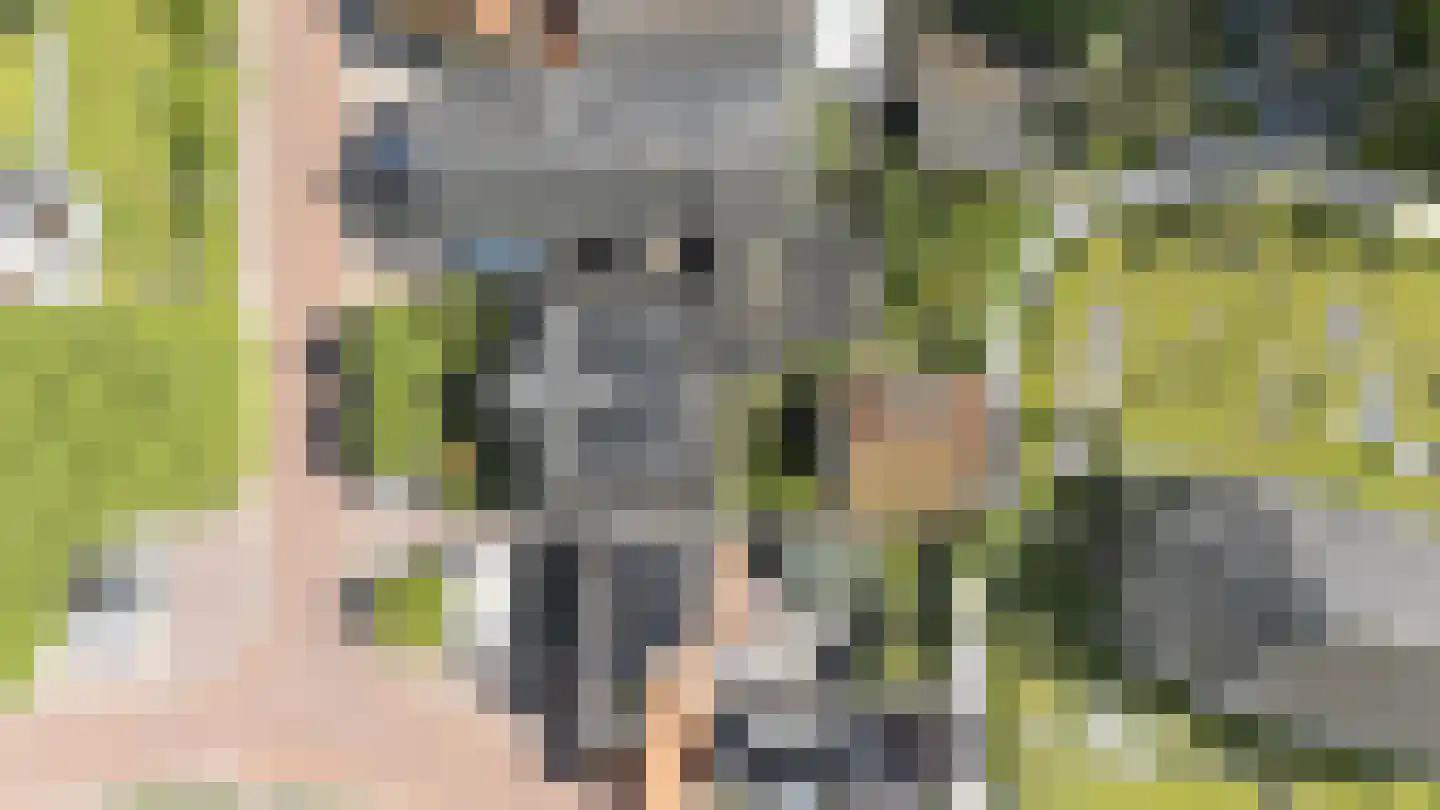 Breed Plak 8 Pietersbierum thumbnail 46