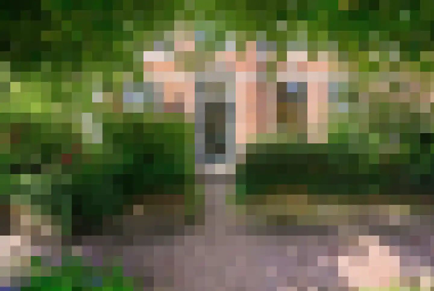 Breed Plak 8 Pietersbierum thumbnail 6