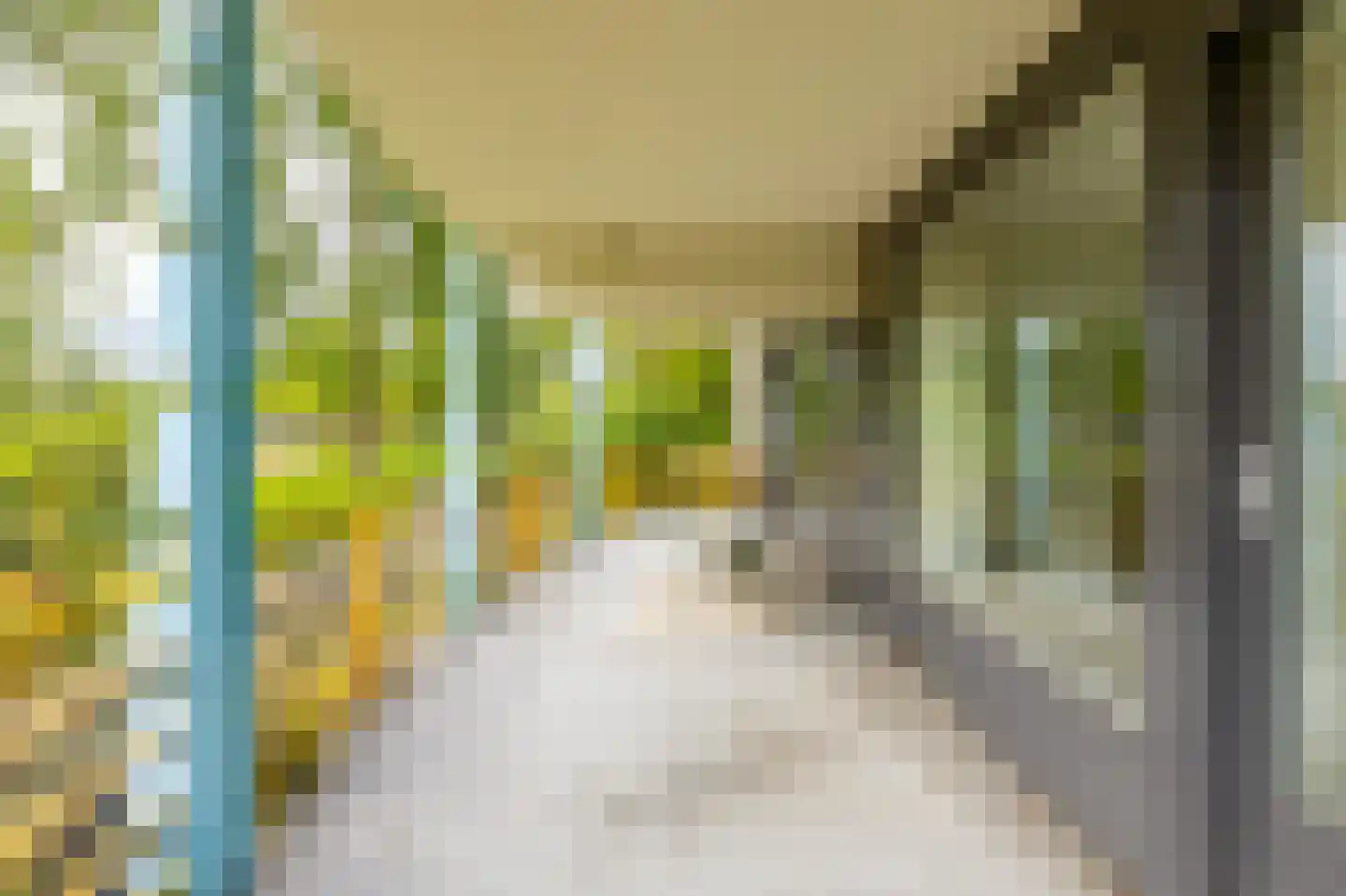 Breedeborg 1 Groningen thumbnail 15
