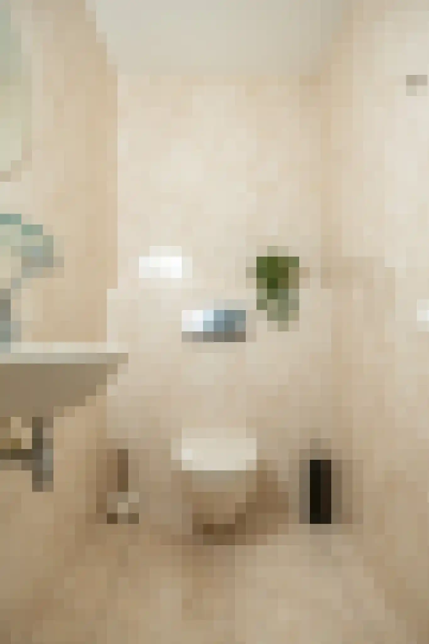 Breedeborg 1 Groningen thumbnail 37
