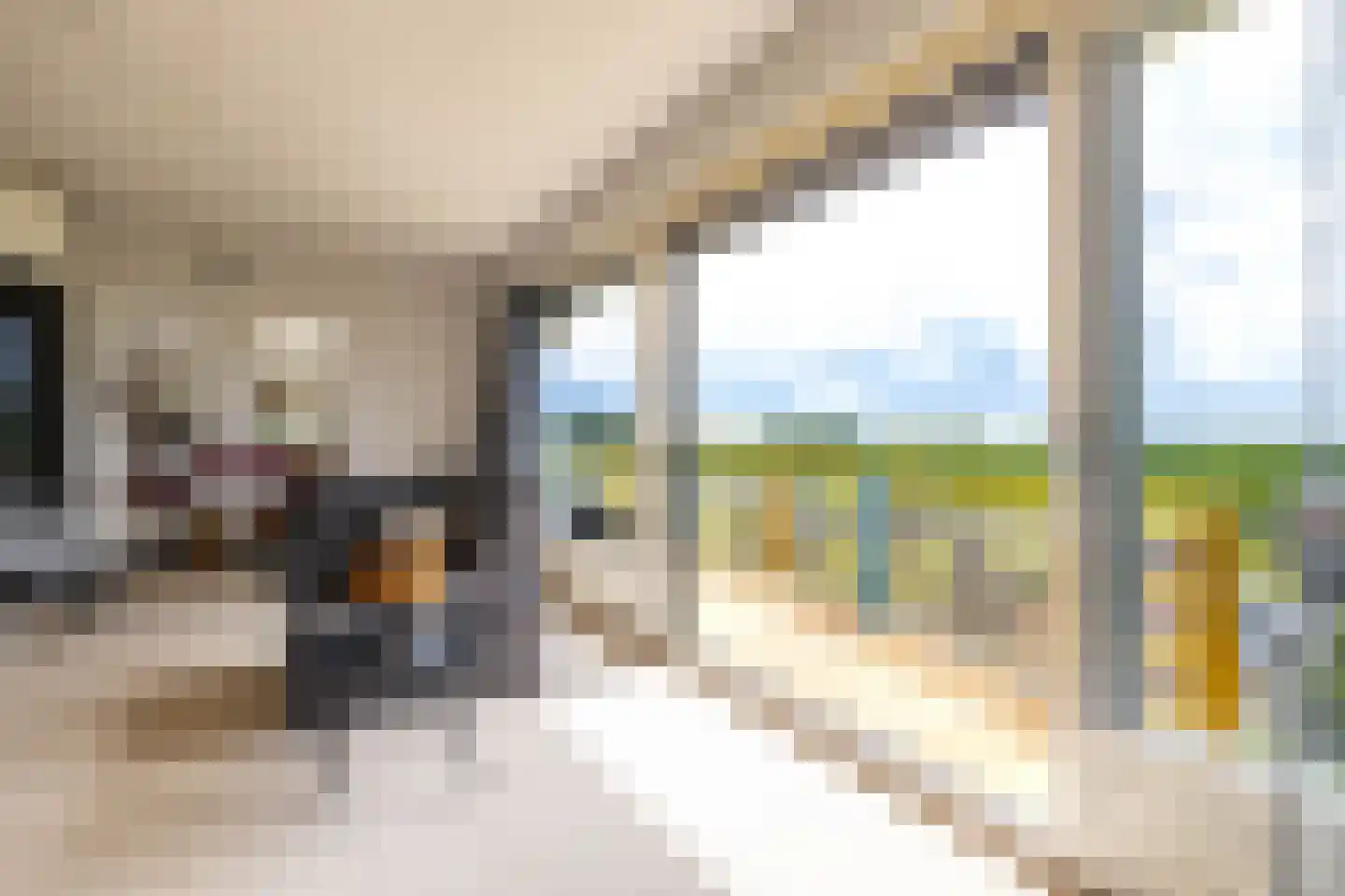 Breedeborg 14 Groningen thumbnail 13