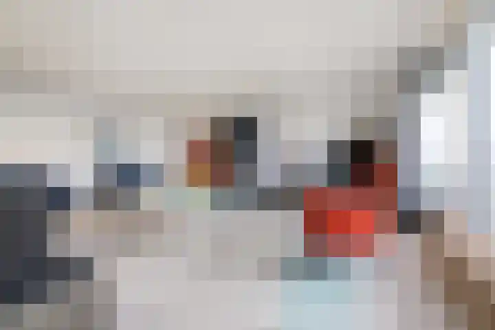Breedeborg 14 Groningen thumbnail 13